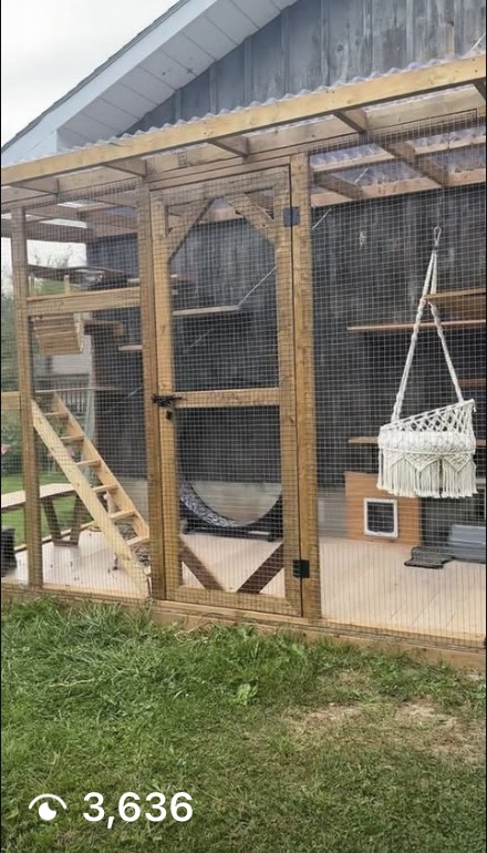 Luxury catio with hammock and climbing features