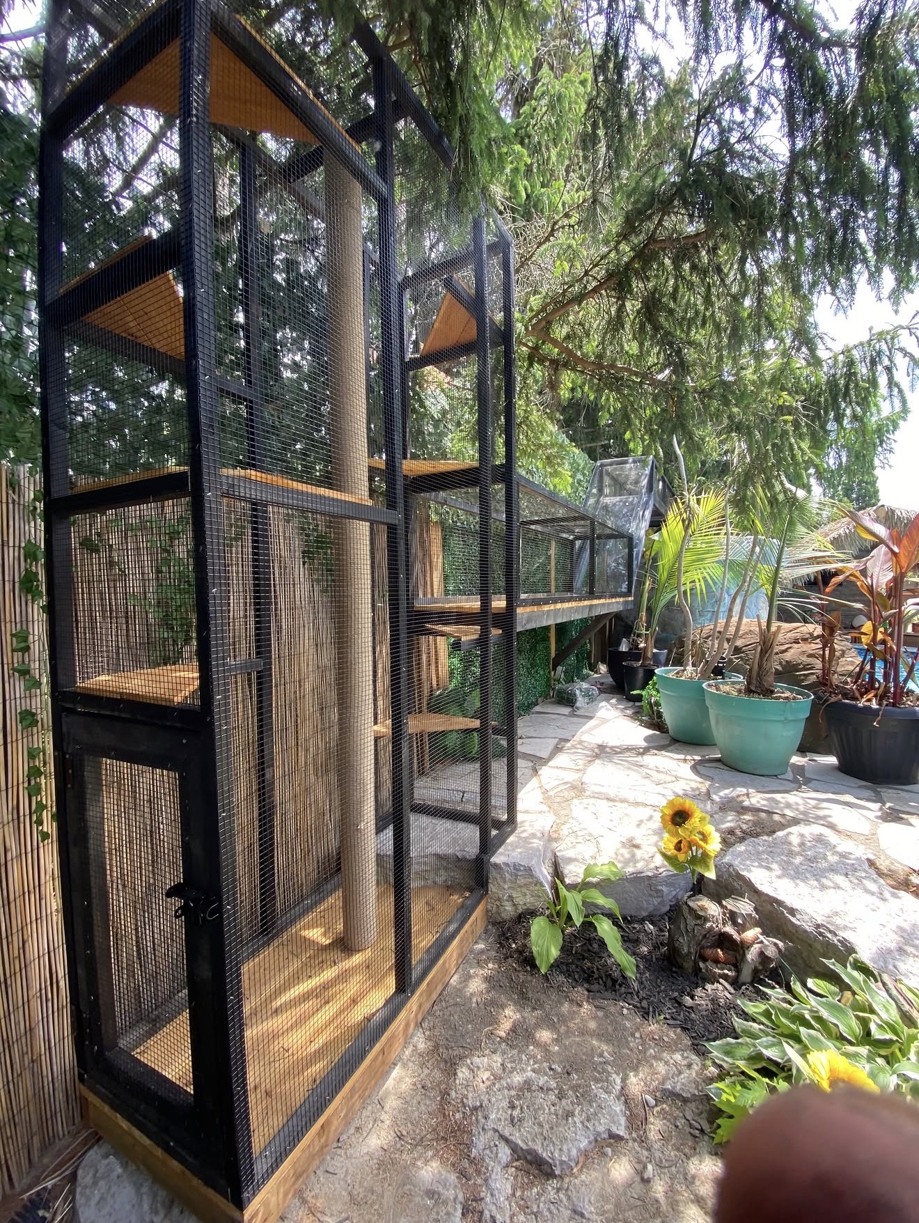 Multi-level black frame catio with tunnel